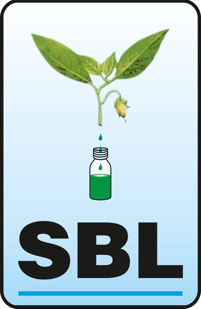 SBL logo. SBL letter. SBL letter logo design. Initials SBL logo linked with  circle and uppercase monogram logo. SBL typography for technology, busines  Stock Vector Image & Art - Alamy